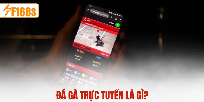 Đá gà trực tuyến là gì?